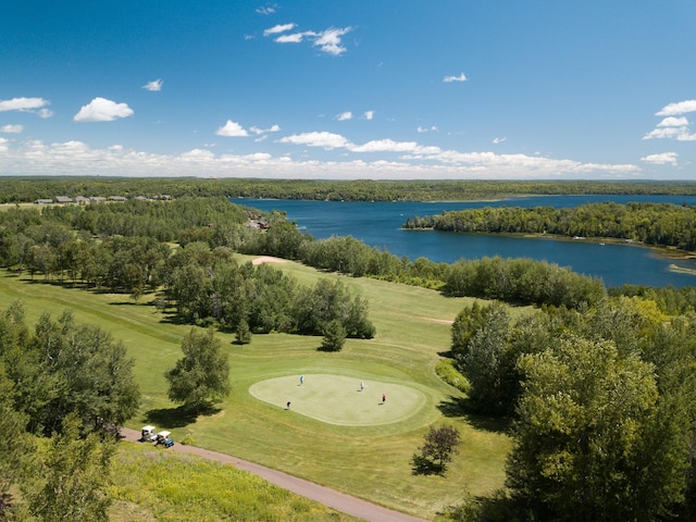 OutlotL Tbd, Coleraine, MN 55722