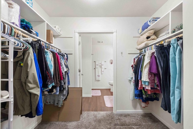 walk in closet with carpet floors