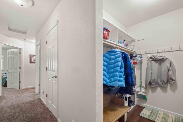 view of walk in closet
