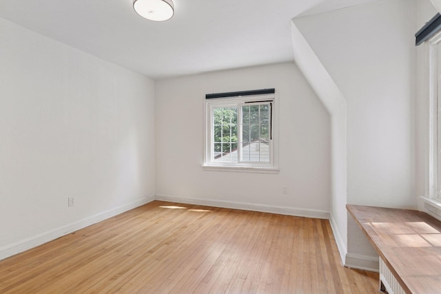 491 Burlington Rd, Saint Paul, MN 55119 - additional living space with light wood-type flooring and vaulted ceiling