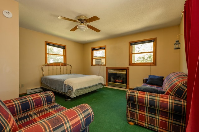 10020 Rachel Rd SW, Farwell, MN 56327 - photo 27