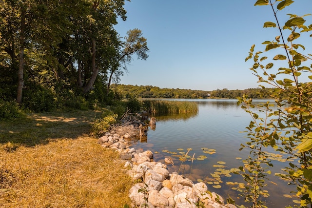 10020 Rachel Rd SW, Farwell, MN 56327 - photo 37