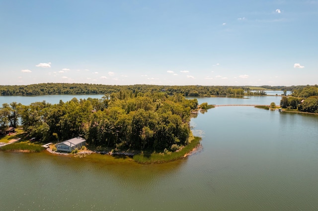 10020 Rachel Rd SW, Farwell, MN 56327 - photo 42