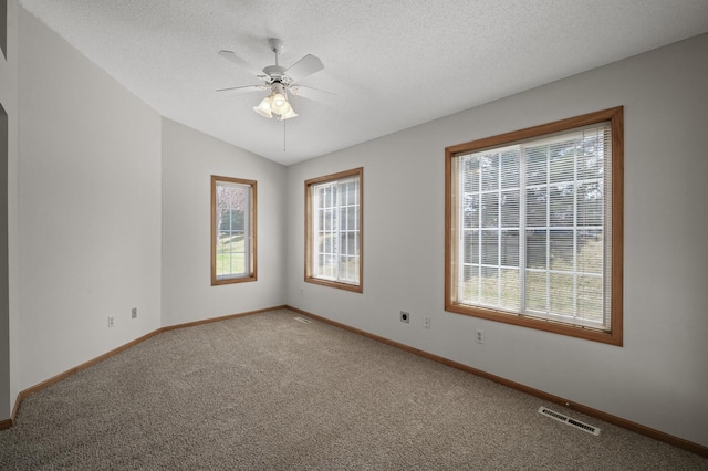 8569 Telford Ln N, Brooklyn Park, MN 55443 - carpeted spare room featuring baseboards, a ceiling fan, a textured ceiling, and lofted ceiling