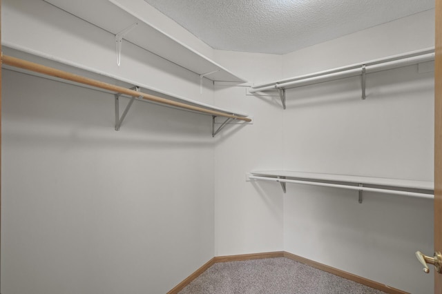 8569 Telford Ln N, Brooklyn Park, MN 55443 - walk in closet featuring carpet floors