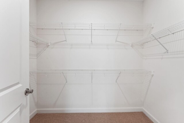 17729 Everest Ave, Lakeville, MN 55044 - walk in closet featuring carpet flooring
