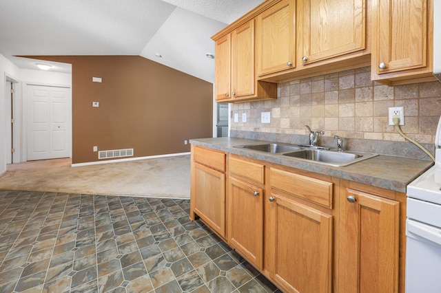 1065 Blackbird Trl SW Unit 8, Hutchinson, MN 55350 - kitchen with a sink, dark colored carpet, vaulted ceiling, decorative backsplash, and baseboards