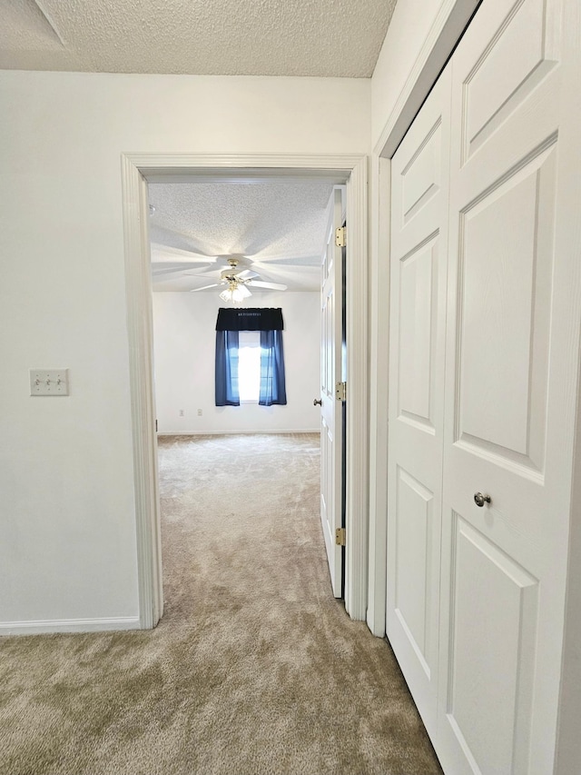 1065 Blackbird Trl SW Unit 8, Hutchinson, MN 55350 - corridor featuring a textured ceiling, carpet floors, and baseboards