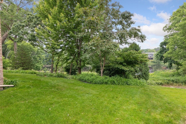 11765 177th St W, Lakeville, MN 55044 - view of grassy yard