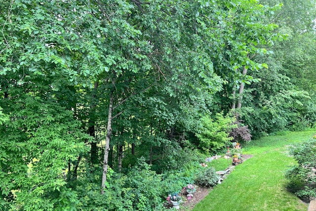 130 Teton Ln Unit 8, Mankato, MN 56001 - view of green lawn