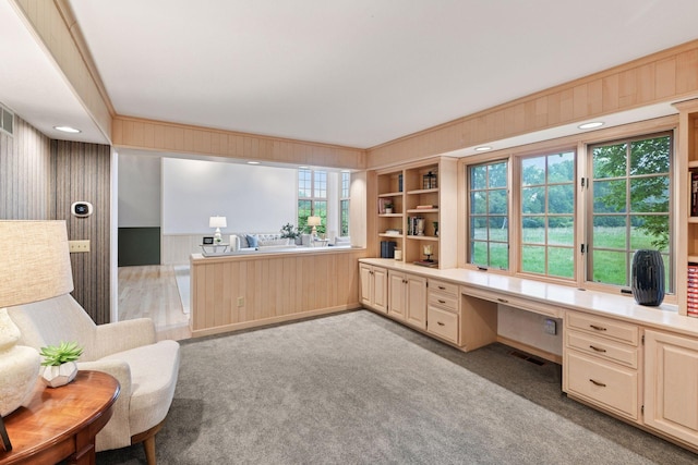 461 Peavey Ln, Wayzata, MN 55391 - office space featuring built in study area, light carpet, wooden walls, and built in features