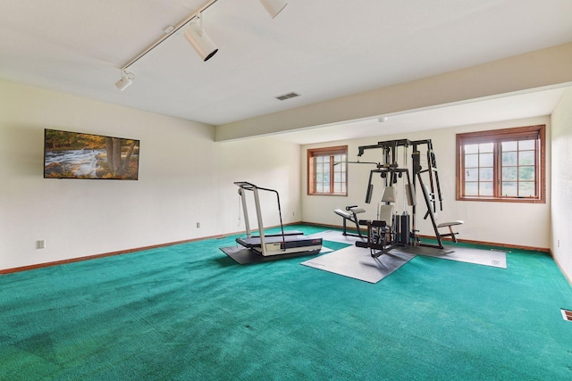 461 Peavey Ln, Wayzata, MN 55391 - workout room with track lighting and carpet floors