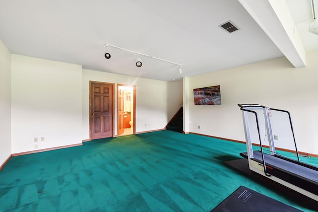 461 Peavey Ln, Wayzata, MN 55391 - exercise area featuring track lighting and carpet flooring