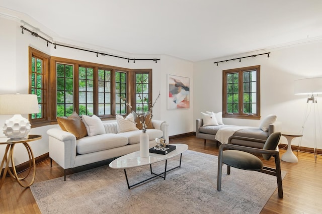living room featuring wood finished floors, healthy amount of natural light, and crown molding
