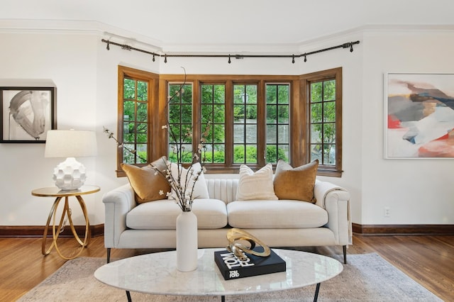 living room featuring crown molding, baseboards, and wood finished floors