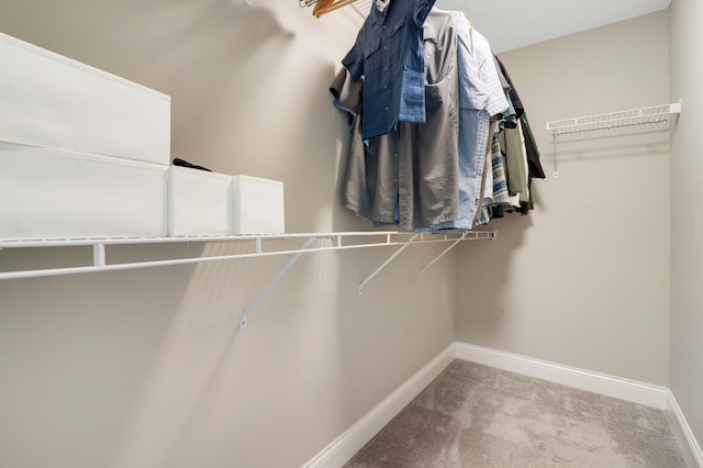 20024 Fern Glen Ln N, Forest Lake, MN 55025 - spacious closet with carpet flooring