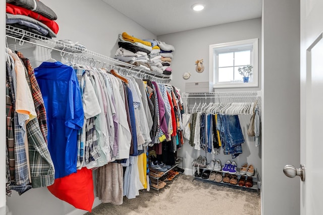 spacious closet featuring carpet flooring