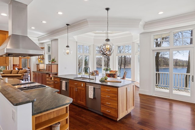 kitchen featuring open shelves, a large island, island range hood, a sink, and stainless steel appliances