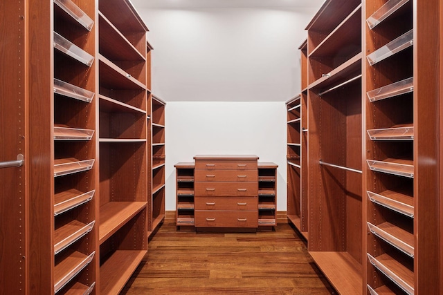 spacious closet featuring dark wood finished floors