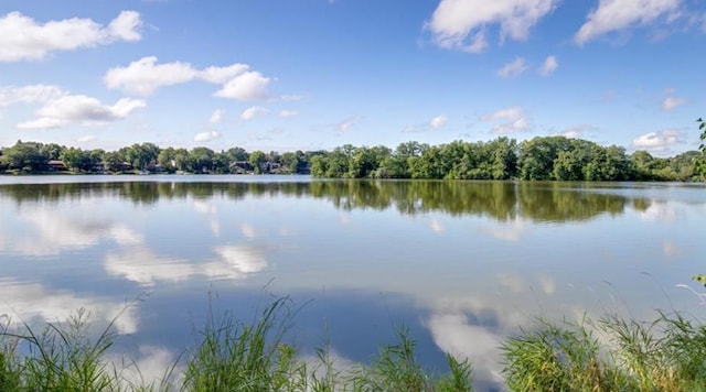 property view of water featuring a wooded view