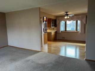 empty room featuring light colored carpet and a ceiling fan