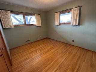 spare room featuring light wood finished floors