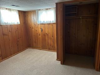basement with carpet flooring, a textured ceiling, and wood walls