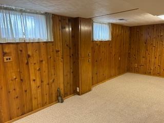 below grade area featuring wood walls and carpet