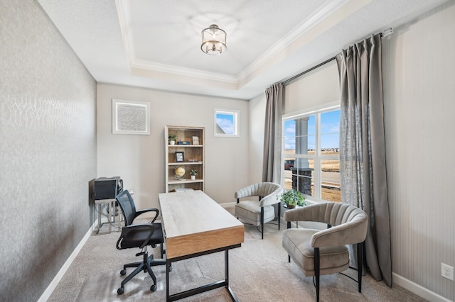 548 Mallard St NE, Hanover, MN 55341 - office featuring carpet floors, ornamental molding, and a tray ceiling