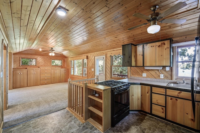 10818 55th St, Palmer Twp, MN 55319 - photo 5