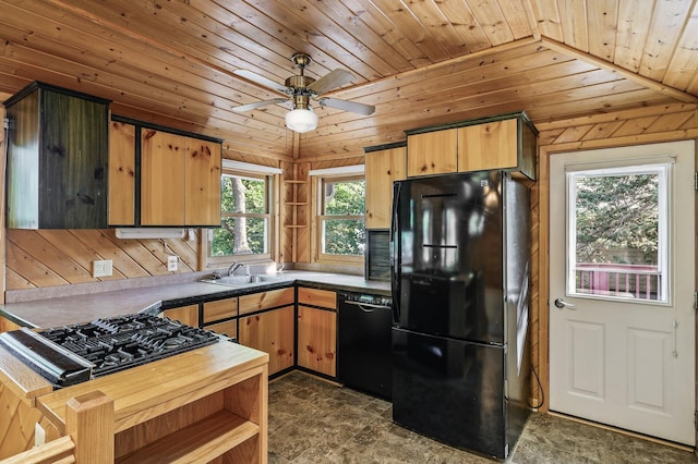10818 55th St, Palmer Twp, MN 55319 - photo 6