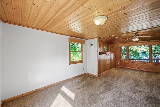 10818 55th St, Palmer Twp, MN 55319 - photo 11