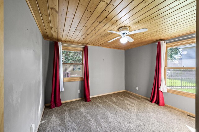 10818 55th St, Palmer Twp, MN 55319 - photo 14