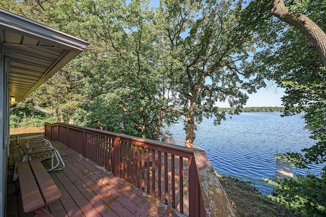 10818 55th St, Palmer Twp, MN 55319 - photo 25