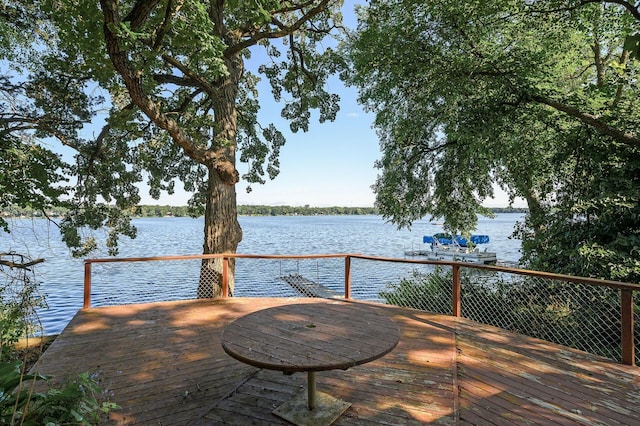10818 55th St, Palmer Twp, MN 55319 - photo 27