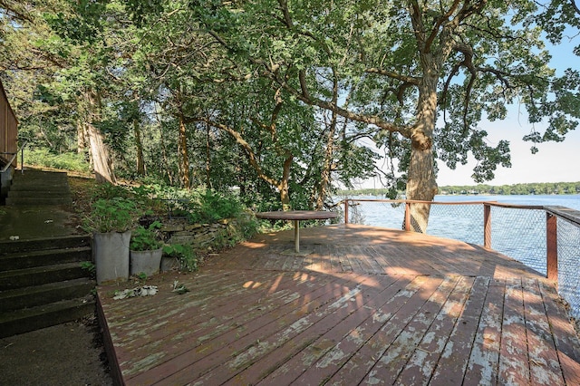 10818 55th St, Palmer Twp, MN 55319 - photo 31