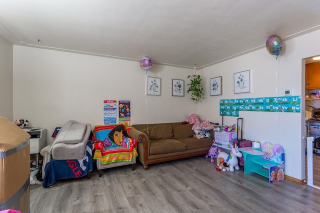 recreation room with wood finished floors