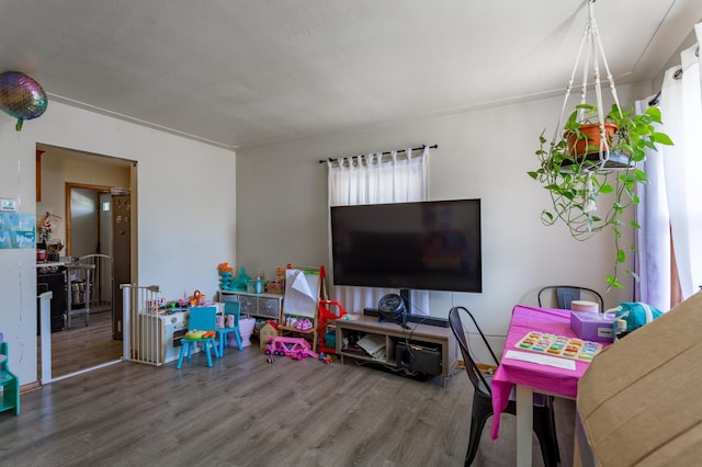 recreation room with wood finished floors