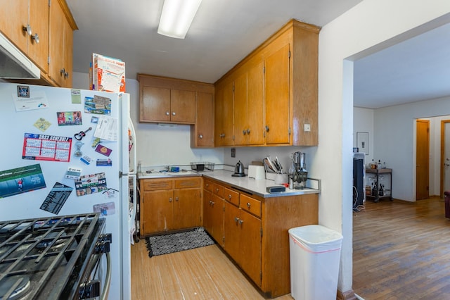 kitchen with light wood-type flooring, brown cabinetry, light countertops, and freestanding refrigerator