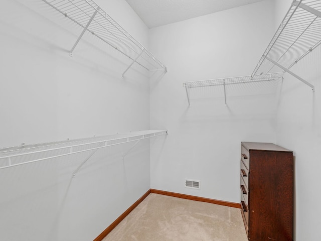 9323 Kimberly Ln N, Maple Grove, MN 55311 - walk in closet featuring carpet floors