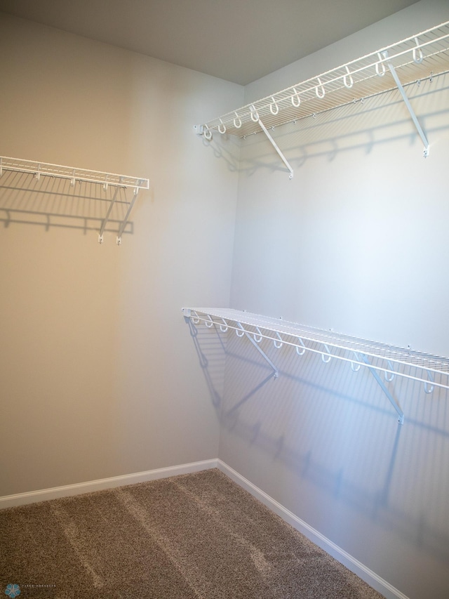 861 2nd Ave, Horace, ND 58047 - spacious closet featuring carpet