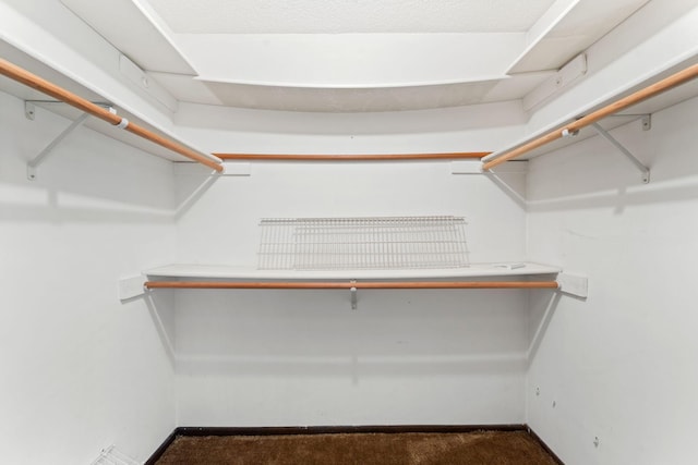 7508 Germane Trl Unit 0, Apple Valley, MN 55124 - spacious closet with carpet