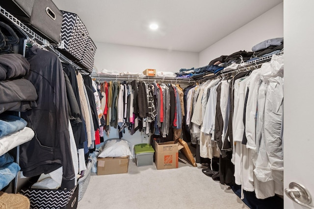 walk in closet featuring carpet flooring