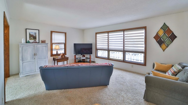 450 Murray Ave, Pine River, MN 56474 - photo 9