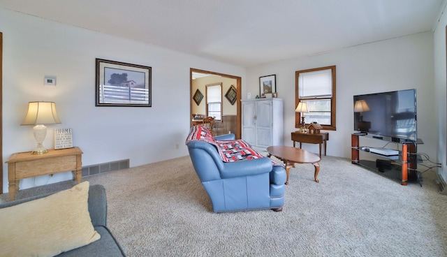 450 Murray Ave, Pine River, MN 56474 - photo 10