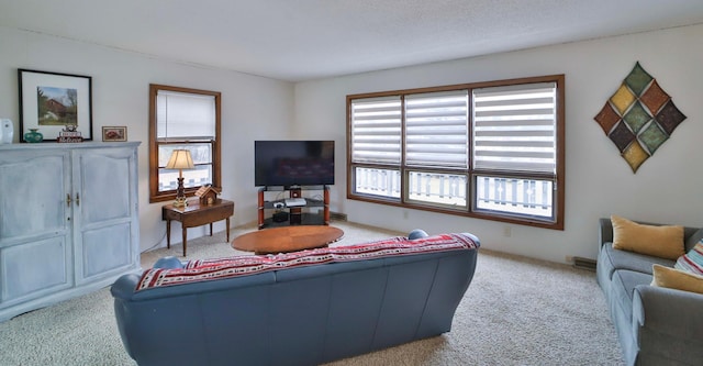 450 Murray Ave, Pine River, MN 56474 - photo 13