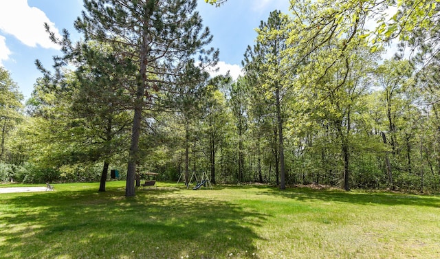 450 Murray Ave, Pine River, MN 56474 - photo 56
