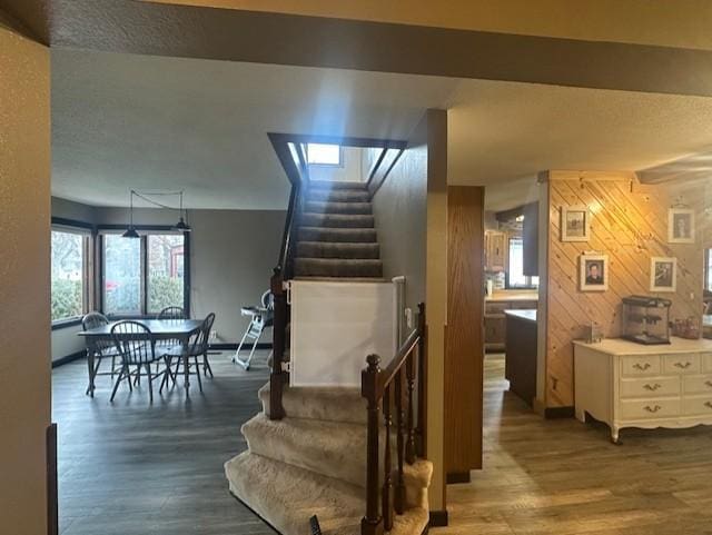 stairway featuring wood finished floors and wood walls
