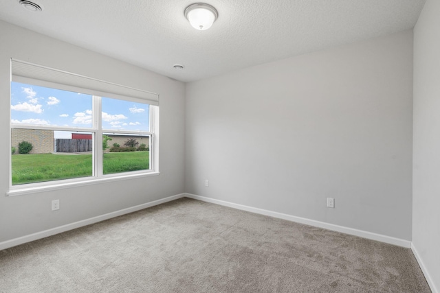 19230 72nd Ave N, Corcoran, MN 55340 - photo 34