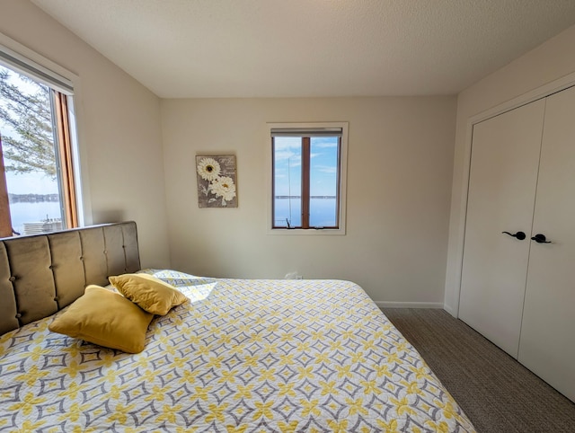 45257 Jack Pine Dr, Perham Twp, MN 56573 - carpeted bedroom with multiple windows and a closet